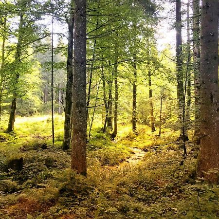 Ferienwohnung - Missen-Wilhams Allgaeu Dış mekan fotoğraf